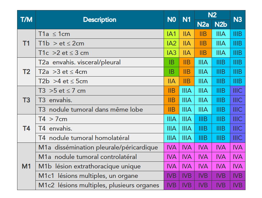 classification par stades 9eme édition